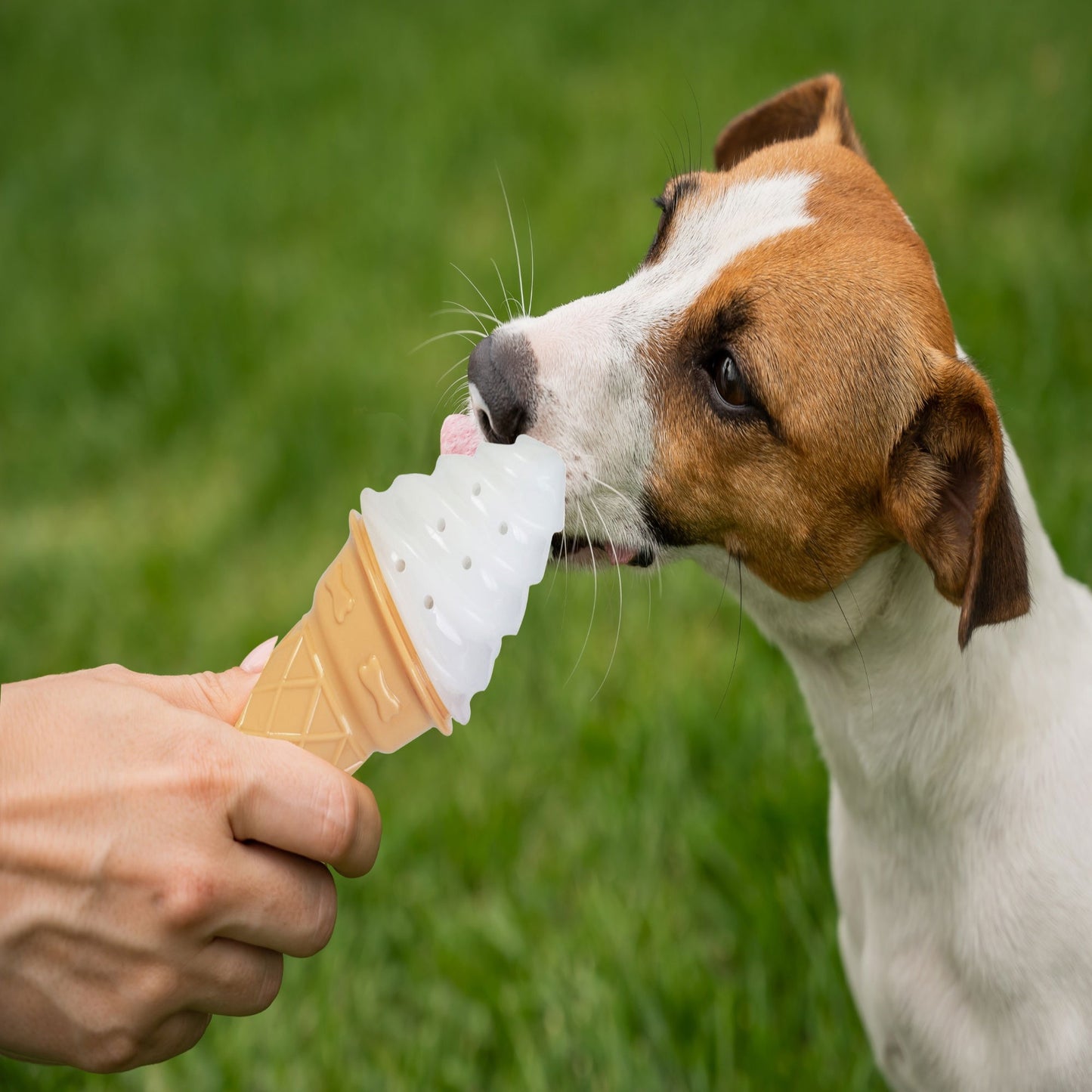 Pet Cooling Toy - Ice Cream