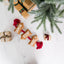 Santa Stop Here Rope Toy