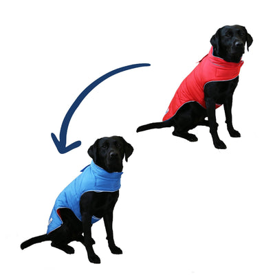 Viva Reversible Coat Red/Blue 30cm Small