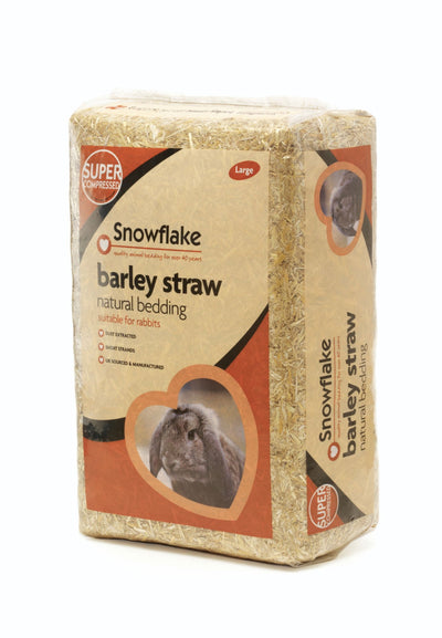 Snowflake Barley Straw Large