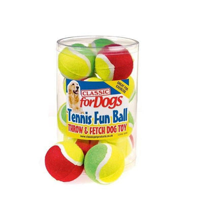 Classic Two Tone Tennis Fun Ball