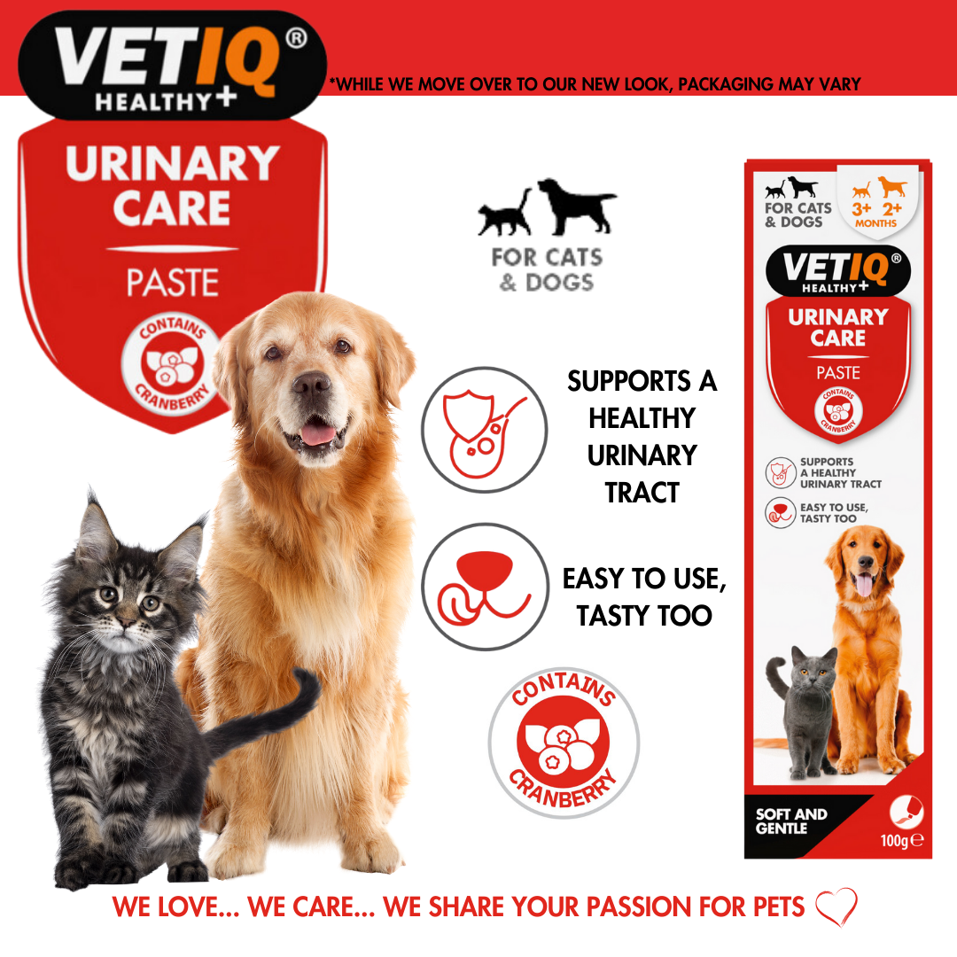 VetIQ Urinary Care Paste 100g