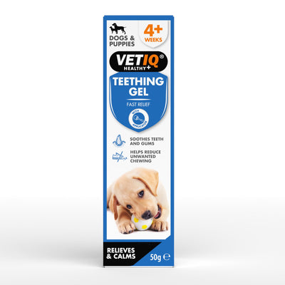 VetIQTeething Gel 50g