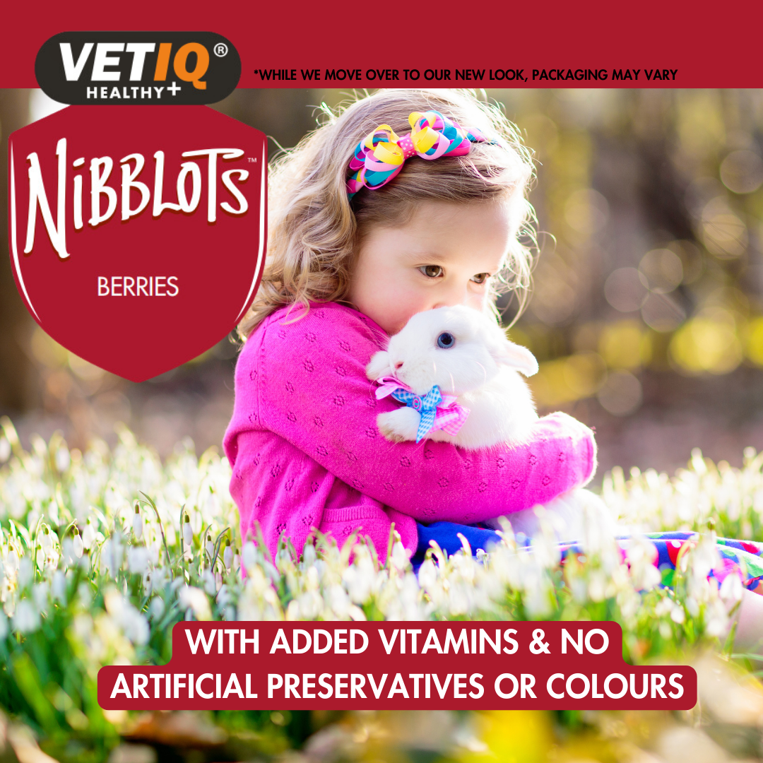 Nibblots For Small Animals Berries 30g