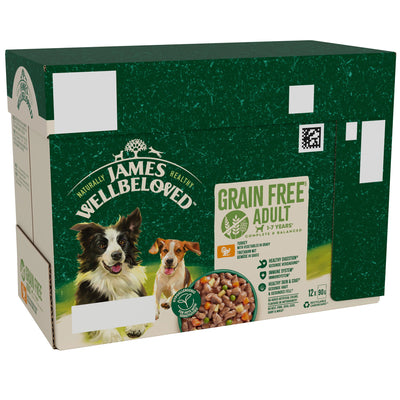 James Wellbeloved Grain Free Adult Wet Dog Food Turkey Gravy Pouch 12x90g