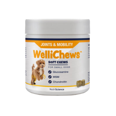 Wellichew - Joint Small Dog/Cat - 120 Chews 120g