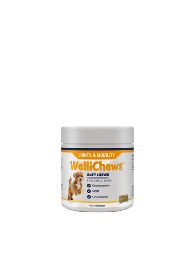 Wellichew - Joint Small Dog/Cat - 120 Chews 120g