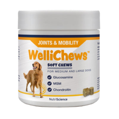 Wellichew - Joint Medium/Large Dog - 60 Chews 120g