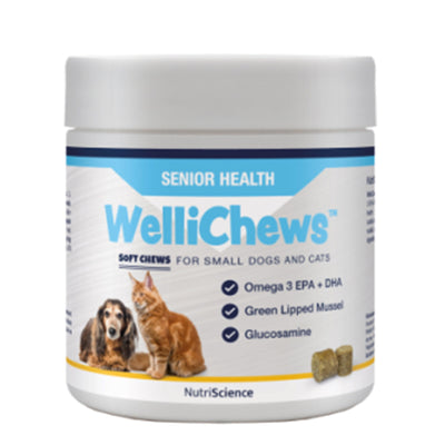 Wellichew Senior Health Chews Small Dog/Cat - 120 Chews 120g
