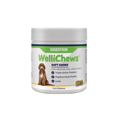 Wellichew - Digestion Medium/Large Dogs - 60 Chews 106g