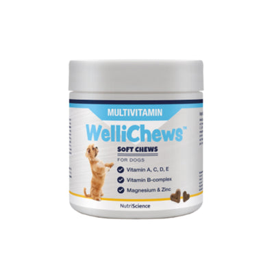 Wellichew - Multi-Vitamin Dog 60 Chews - 115g
