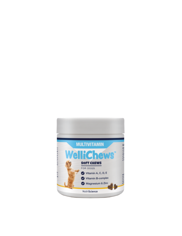 Wellichew - Multi-Vitamin Dog 60 Chews - 115g