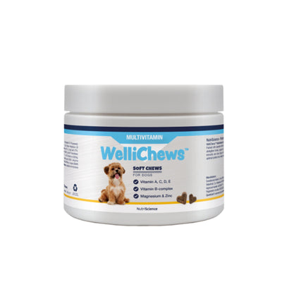 Wellichew - Multi-Vitamin Dog 150 Chews - 287g