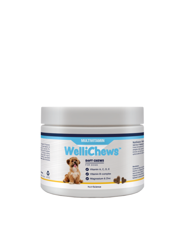 Wellichew - Multi-Vitamin Dog 150 Chews - 287g