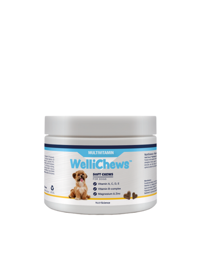 Wellichew - Multi-Vitamin Dog 150 Chews - 287g