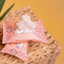 Adios Plastic Compostable Pet Wipes 25 Pack