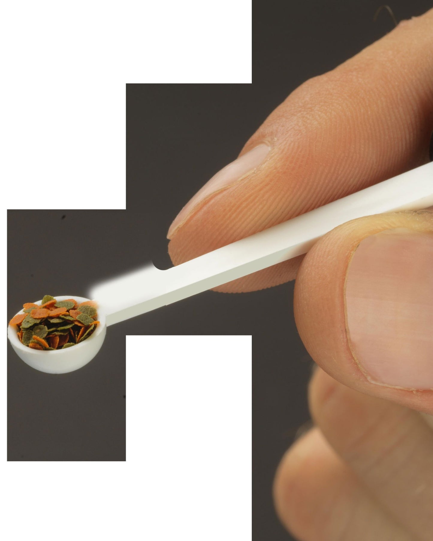 Tetra Micro Sticks 100ml                               