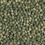 Pleco Tablets