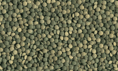 Pleco Tablets