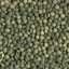 Pleco Tablets