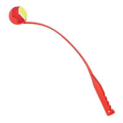 Fling 'n' Fetch