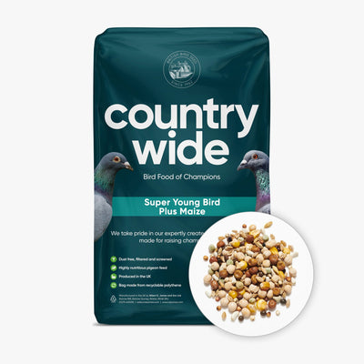 Countrywide Young Bird Plus Maize Mix 20kg