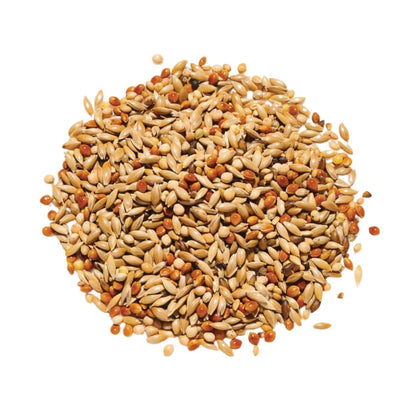 Countrywide Champions Budgie Breeders 60/40 Mix 20kg