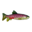 KONG WildShieldz Trout Medium