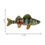 KONG WildShieldz Perch Medium