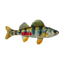 KONG WildShieldz Perch Medium