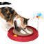 Catit Play Circuit Ball Toy With Scratcher Red