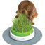 Catit Senses 2.0 Grass Planter