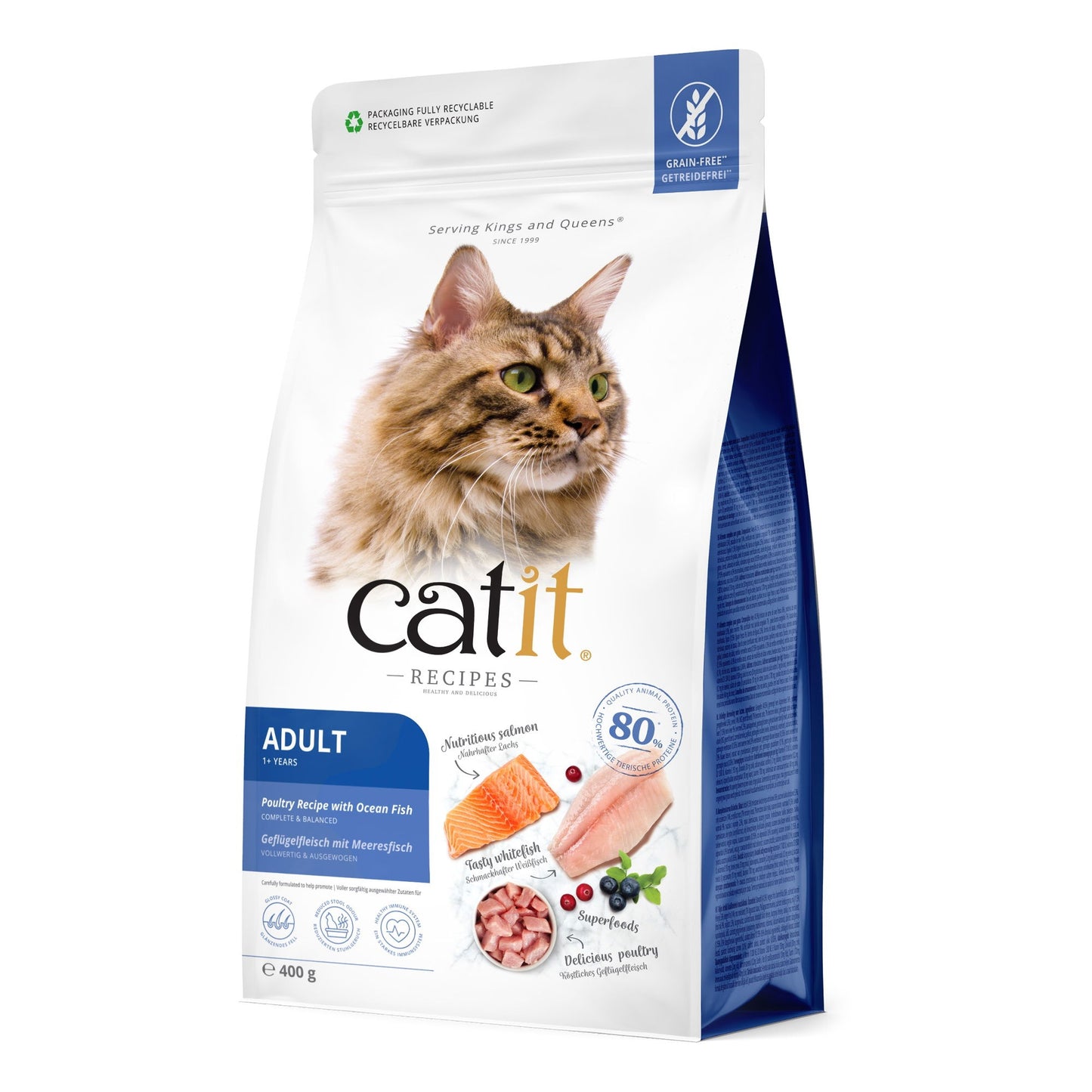 Catit Recipe Dry Adult Oceanfish 400g
