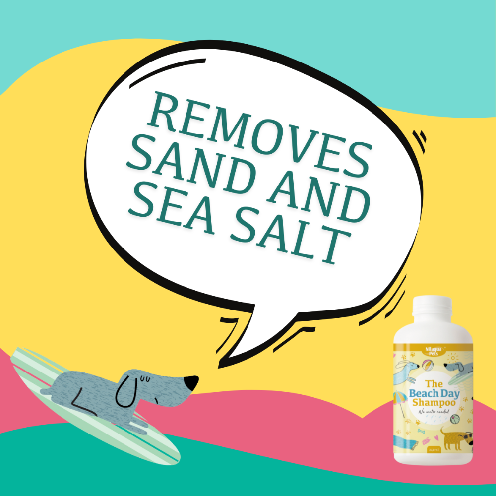 The Beach Day Towel Off Shampoo 240ml