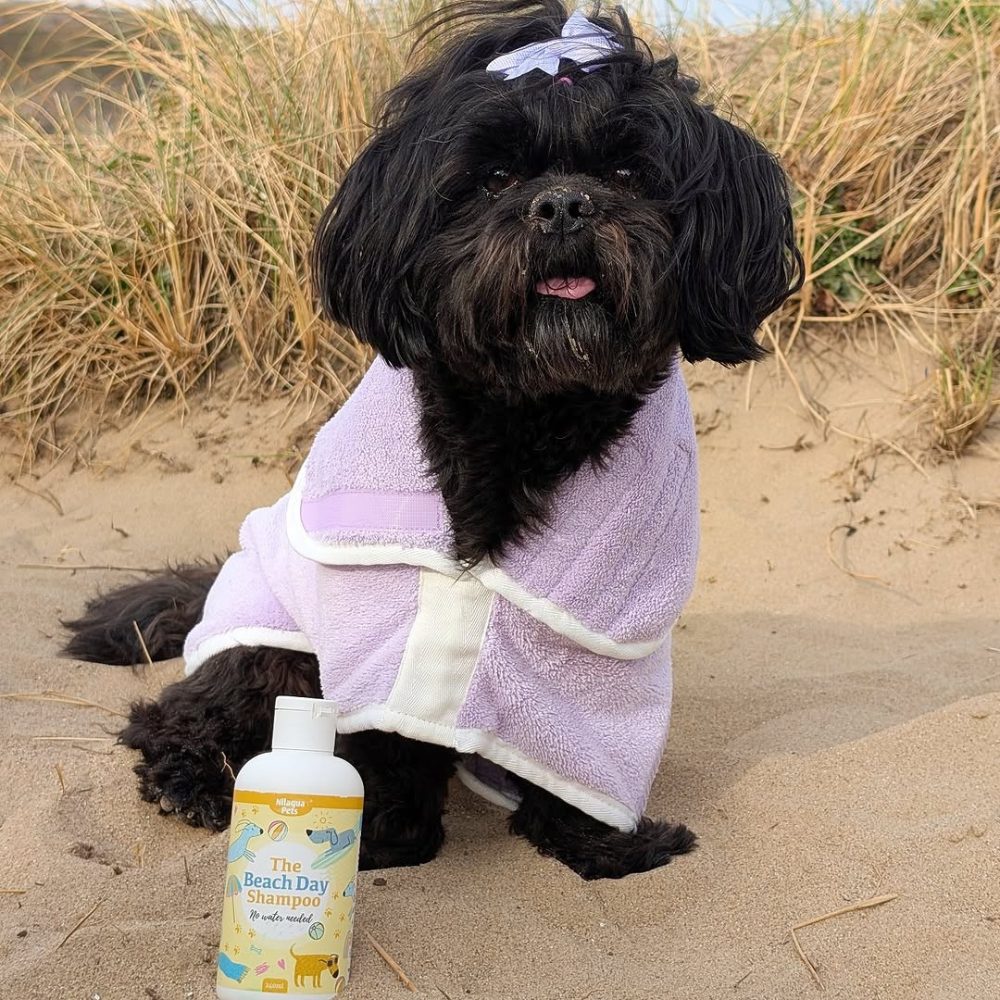 The Beach Day Towel Off Shampoo 240ml