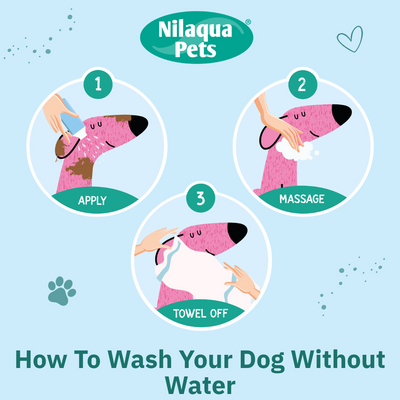The Older Dog  Towel Off Shampoo 240ml