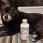 The Older Dog  Towel Off Shampoo 500ml