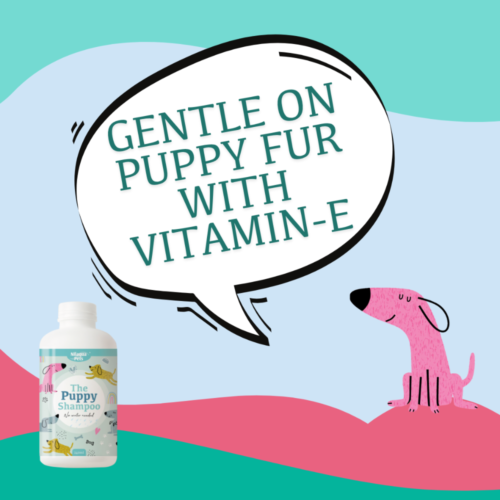The Puppy  Towel Off Shampoo 500ml