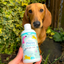 The Puppy  Towel Off Shampoo 500ml
