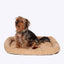 Danish Essentials Mattress Beige Medium