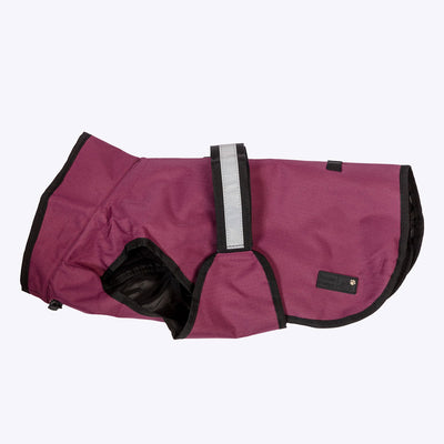 3-In-1 Dog Coat Plum Large 49cm