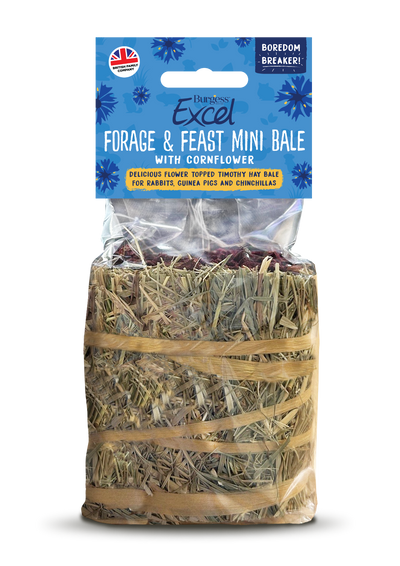 Forage and Feast Hay Bale with Cornflower