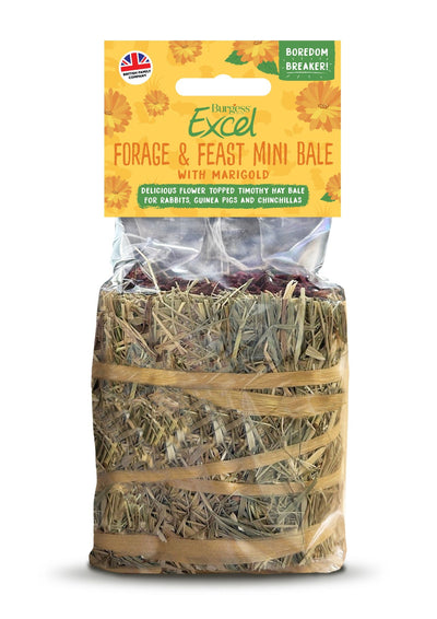 Forage and Feast Hay Bale with Marigold