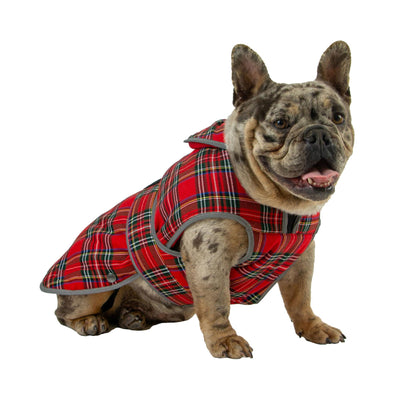 Heritage Red Tartan Medium