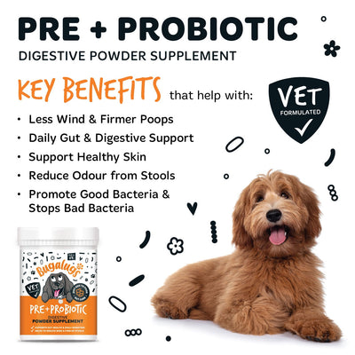 Pre & Probiotic Digestive Powder Supplement 200g Pot with spoon