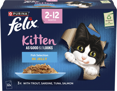 Felix AGAIL Fish in Jelly (12x85g)