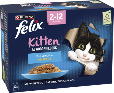 Felix AGAIL Kitten Fish in Jelly (12x85g)