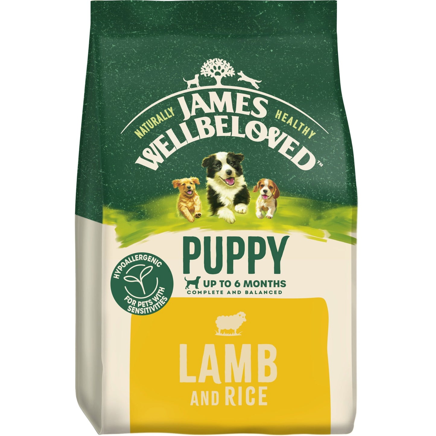 James Wellbeloved Dry Dog Adult Lamb & Rice 2kg