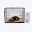 Danish Design Crate Mattress Oatmeal Medium