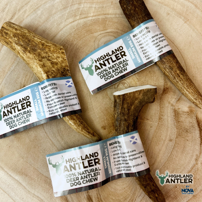 Highland Antler - Antler Small (50-75g)